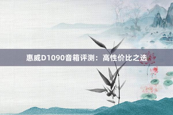 惠威D1090音箱评测：高性价比之选